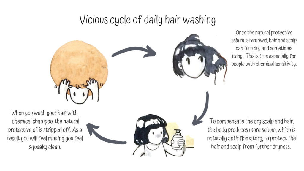 Vicious cycle of shampoo dependency