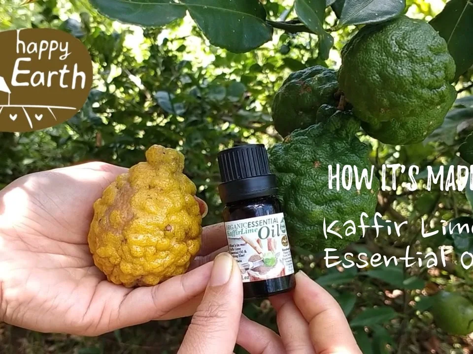 Kaffir Lime Essential Oil