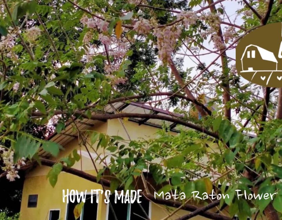 Mata Raton Flower Curry