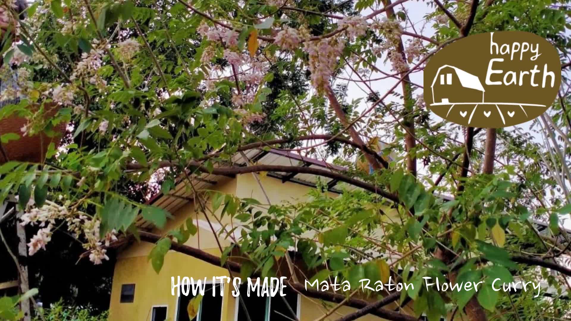 Mata Raton Flower Curry