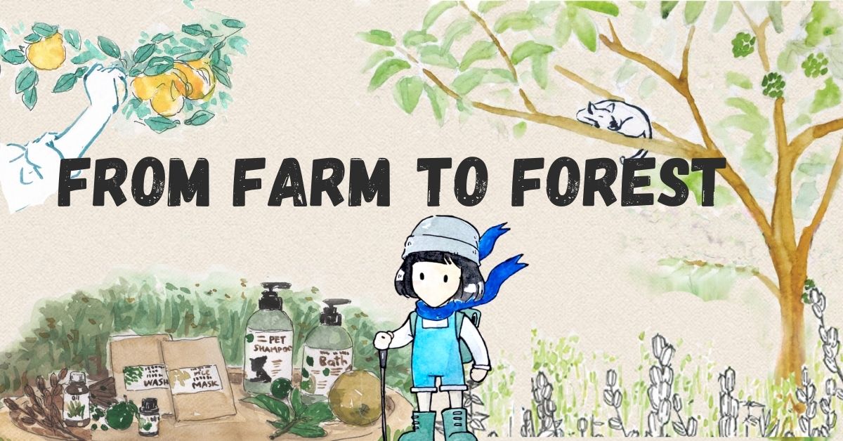 From Farm to Forest, a Campaign to Support Burmese Refugees along the ...