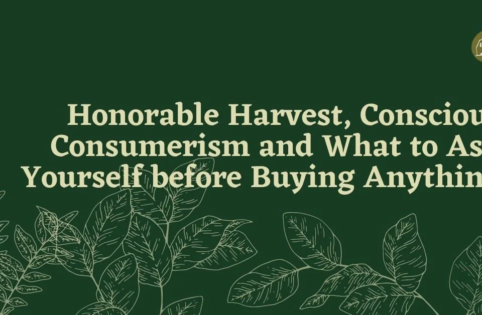 conscious consumerism honorable harvest and questions to ask yourself before buying