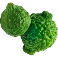 Kaffir Lime