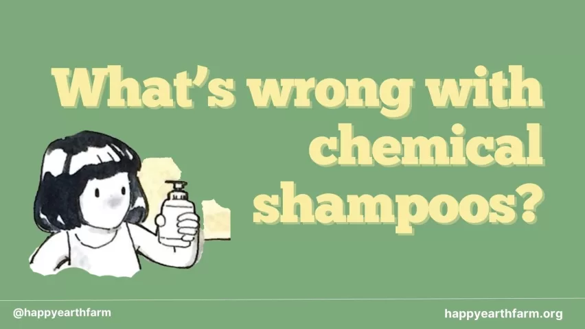 What's wrong with chemical shampoos?