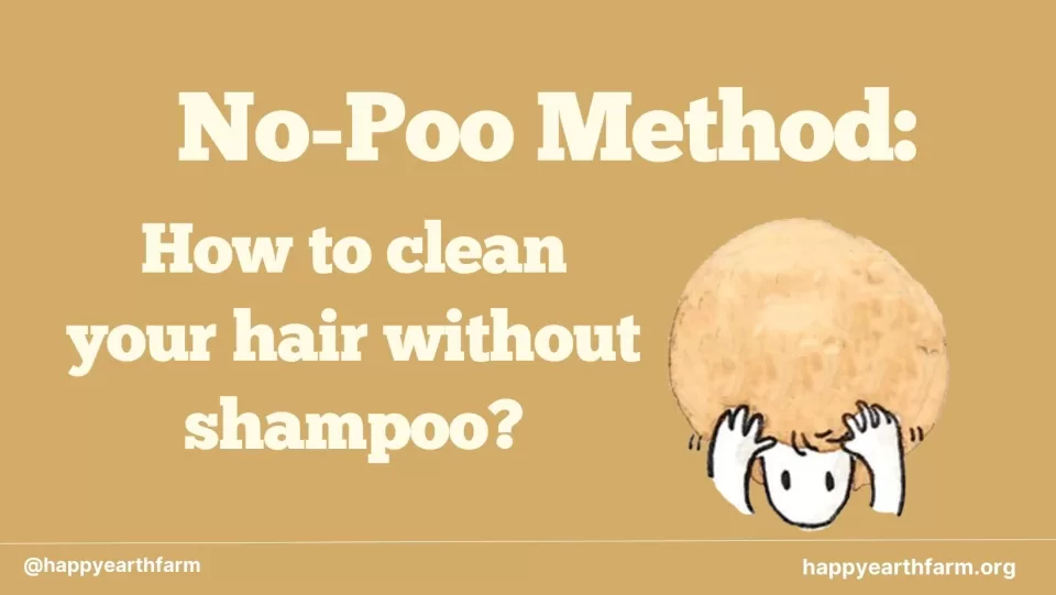 No-Poo Method How to clean your hair without shampoo