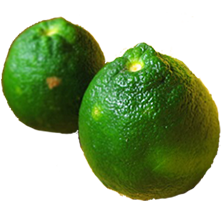 bitter-orange_250x250